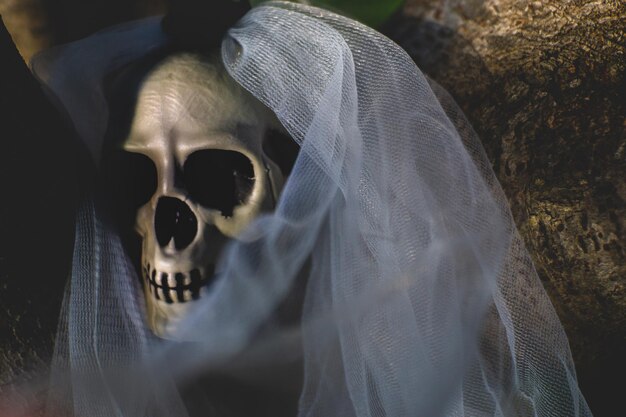 Photo close-up of human skull and veil on field at night