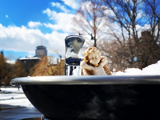 Foto close-up di gelato da un albero nudo contro il cielo