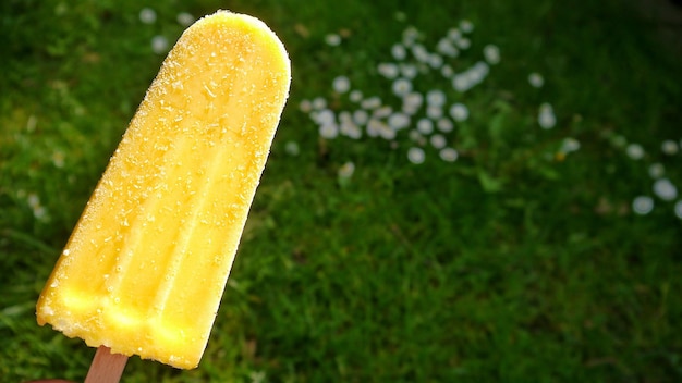 close-up of ice cream