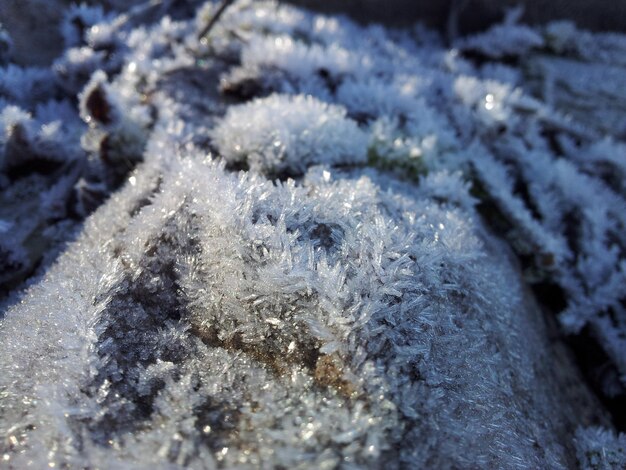 Photo close-up of ice crystals