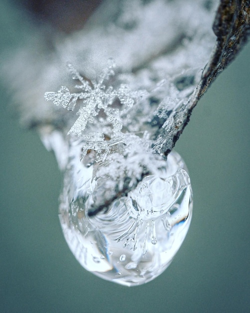 Close-up of ice crystals