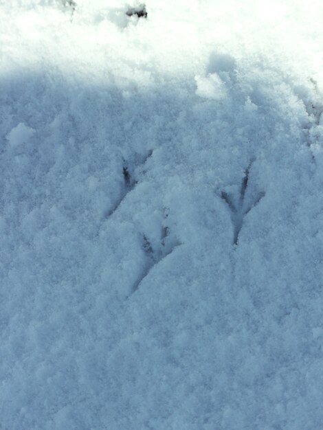 Close-up of ice in winter