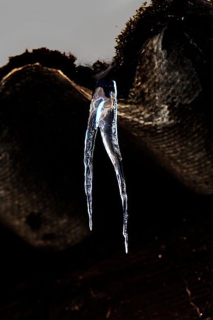 Photo close-up of icicles hanging