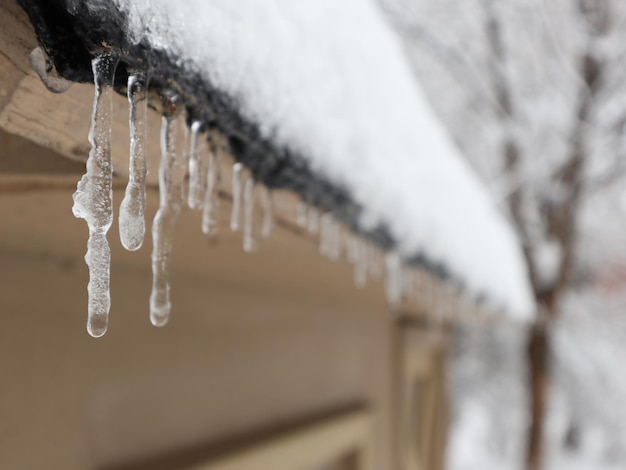 Close-up of icicles on roof