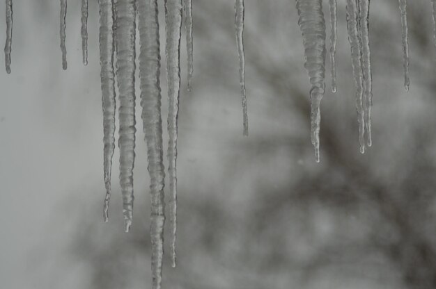 Photo close-up of icicles in water against sky