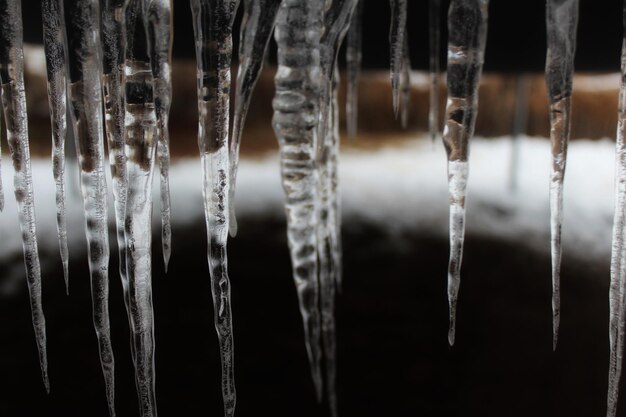Foto close-up di ghiaccioli