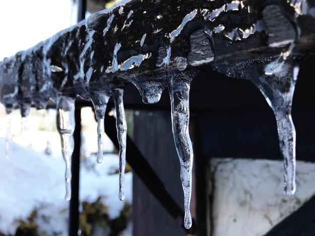 Photo close-up of icicles