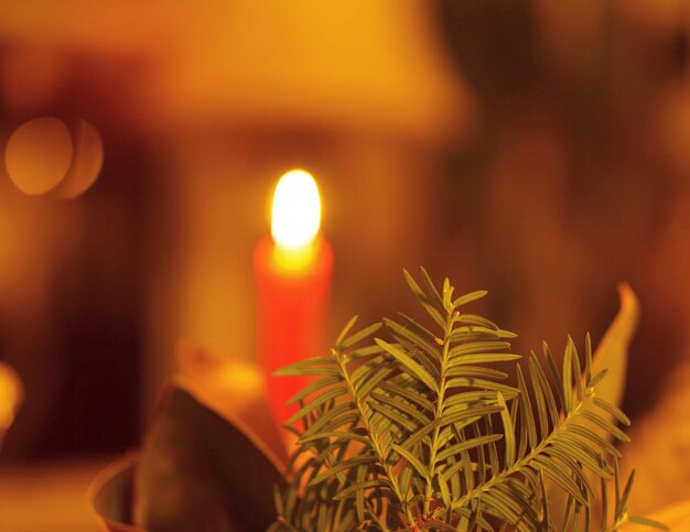 Photo close-up of illuminated candles