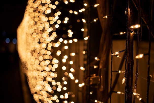 Close-up of illuminated christmas lights