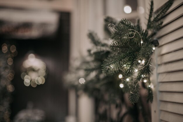 Close-up of illuminated christmas tree