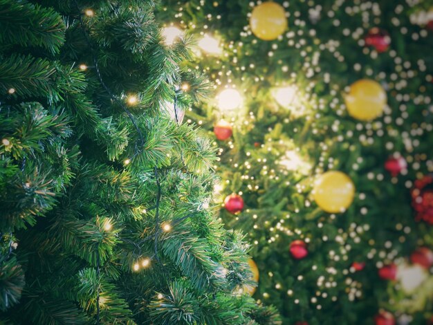 Photo close-up of illuminated christmas tree