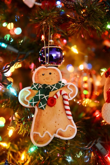 Close-up of illuminated christmas tree