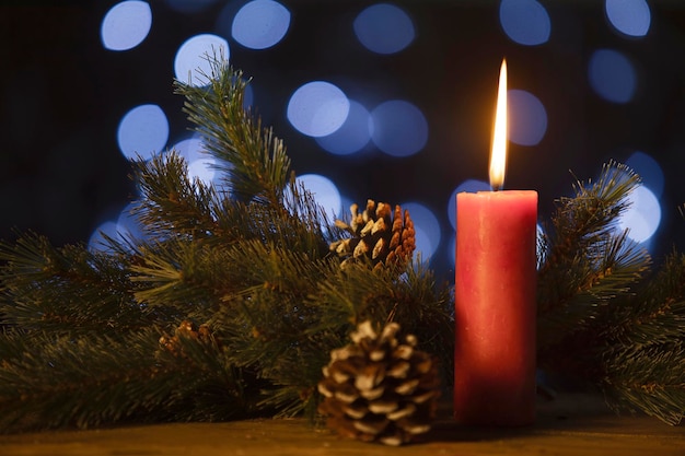 Close-up of illuminated christmas tree