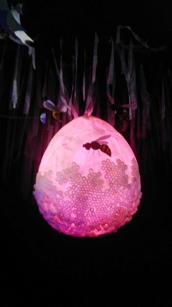 Photo close-up of illuminated decoration hanging against black background