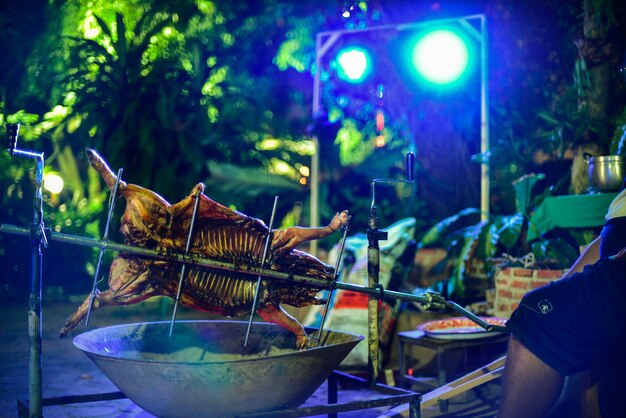 Photo close-up of illuminated fish in basket at night