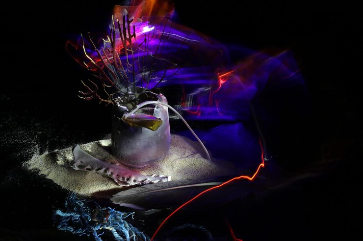 Photo 水族館で水泳している照らされた魚のクローズアップ