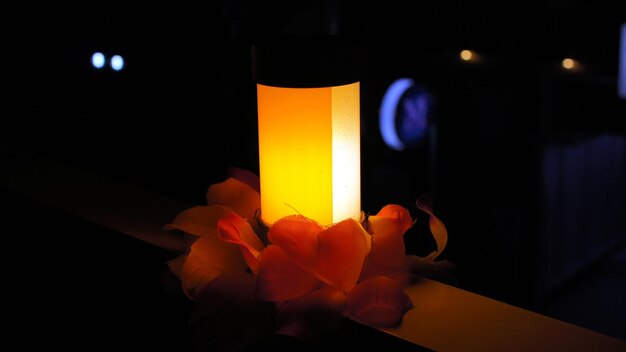 Foto close-up di un fiore illuminato su uno sfondo nero