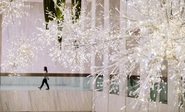 夜の木の向こうに照らされた花のクローズアップ