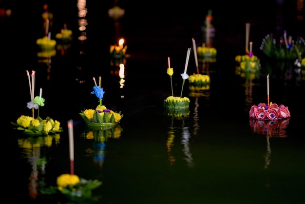 Photo close-up of illuminated flowers at night