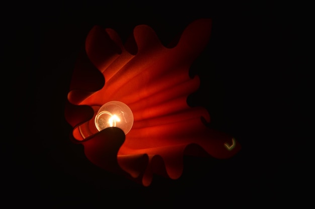 Close-up of illuminated hands over black background