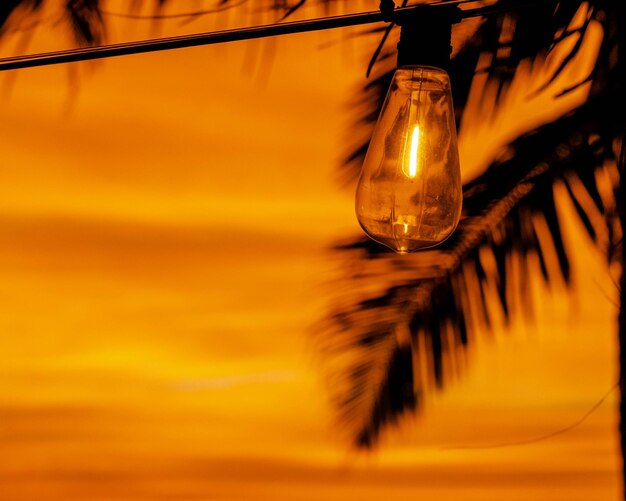 Close-up of illuminated light bulb