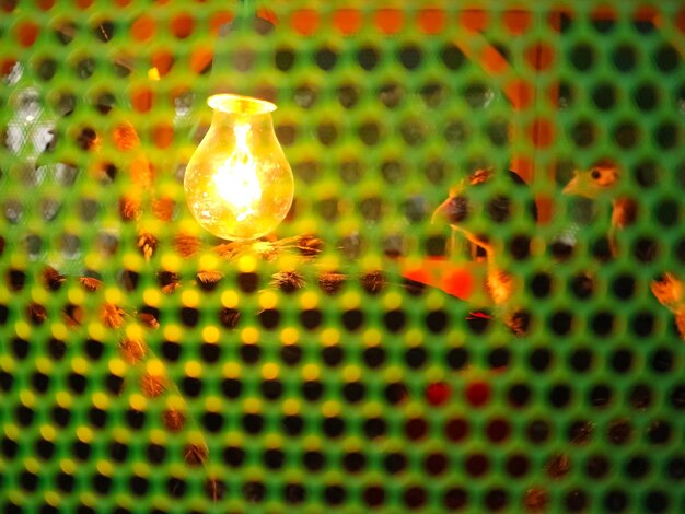 Close-up of illuminated light bulb