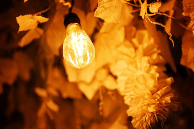 Photo close-up of illuminated light bulb