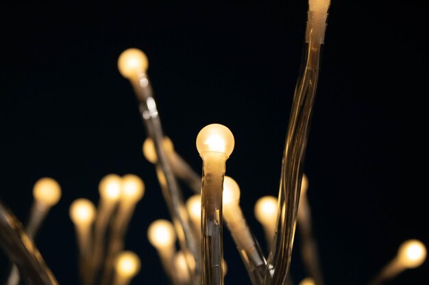 Photo close-up of illuminated light bulb