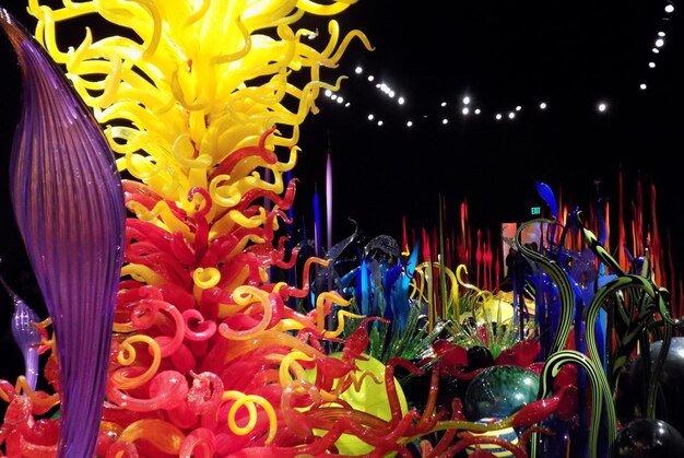 Close-up of illuminated yellow flowering plants at night