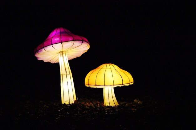 Close-up of illuminated yellow lights against black background