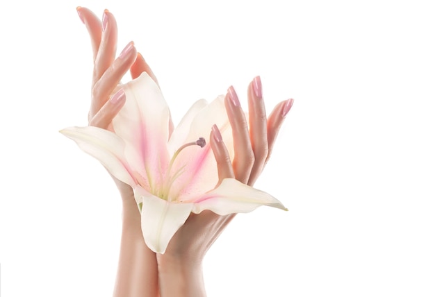 Close-up image of graceful woman's hands, which is holding a bud of orchid flower.