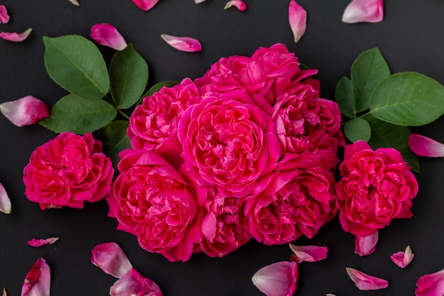 Фото Крупным планом изображение розовых роз на черном фоне