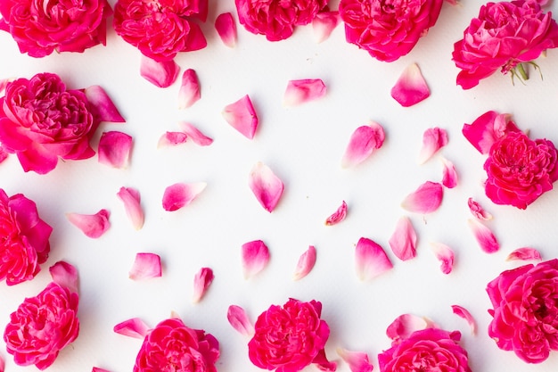 Close up image of pink roses on black background