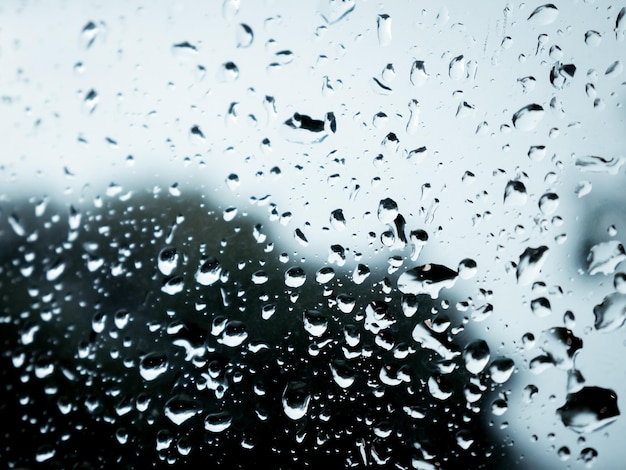 Close up image of a wet grass