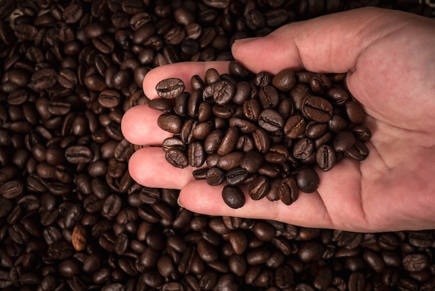 close up images hand of people and roasted coffee beans