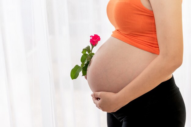 Chiuda sulle immagini delle donne incinte che tengono un fiore della rosa di rosa per il bambino