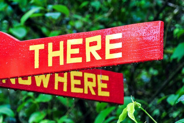 Photo close-up of information sign against trees