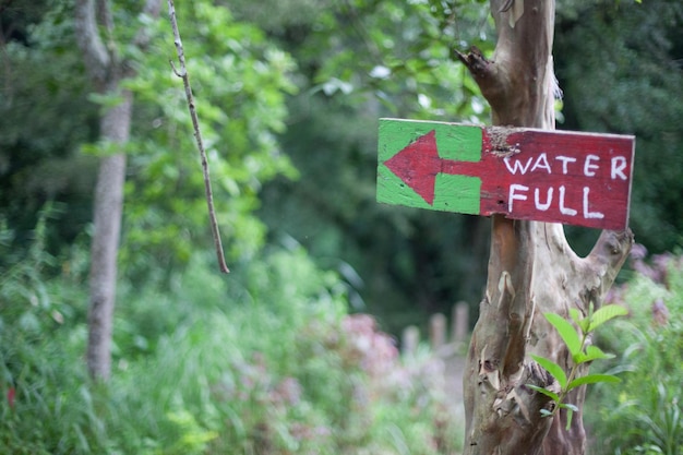 Close-up of information sign on tree trunk