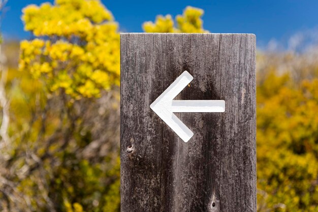 Close-up of information sign on tree trunk