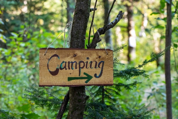 Photo close-up of information sign on tree trunk