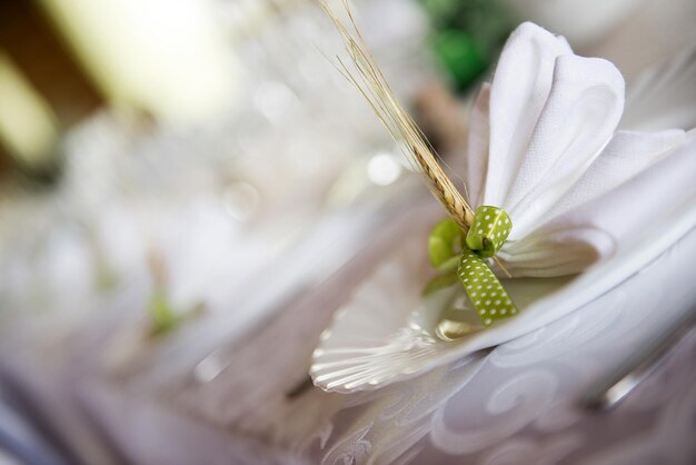 Photo close-up of insect on flower