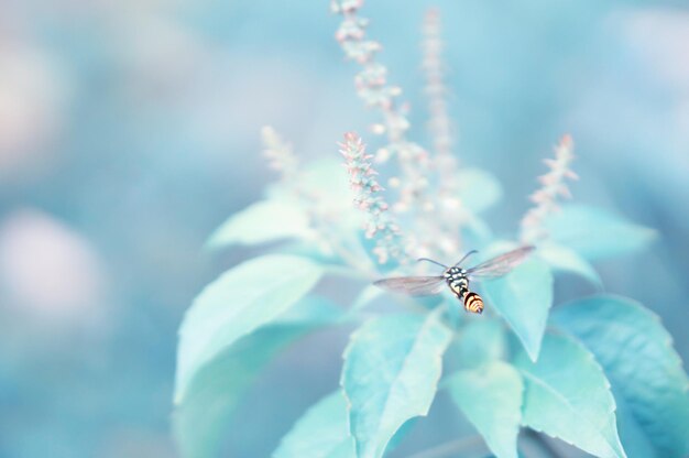 Close-up of insect on flower