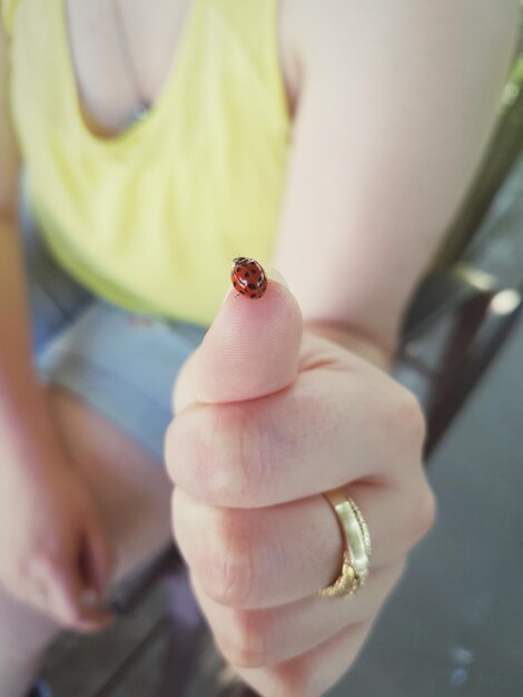 Photo close-up of insect on hand