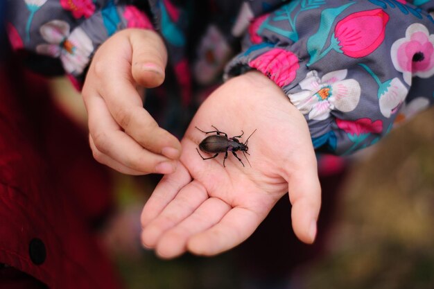 Photo close-up of insect on hand