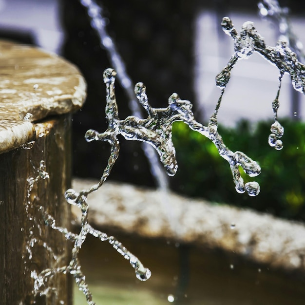 Foto prossimo piano di un insetto sulla foglia