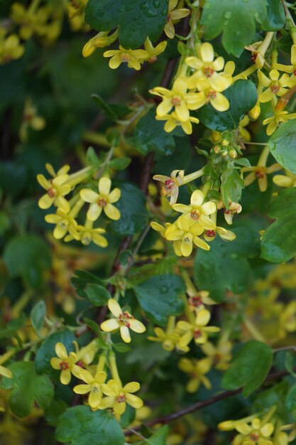 Close-up of insect on plant