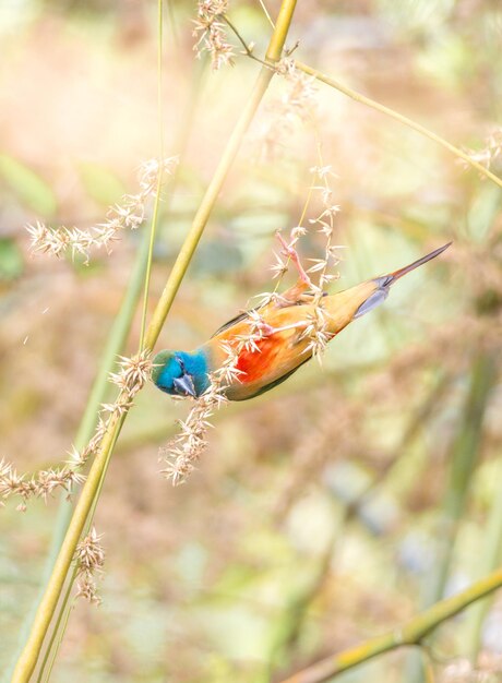 Close-up of insect on plant