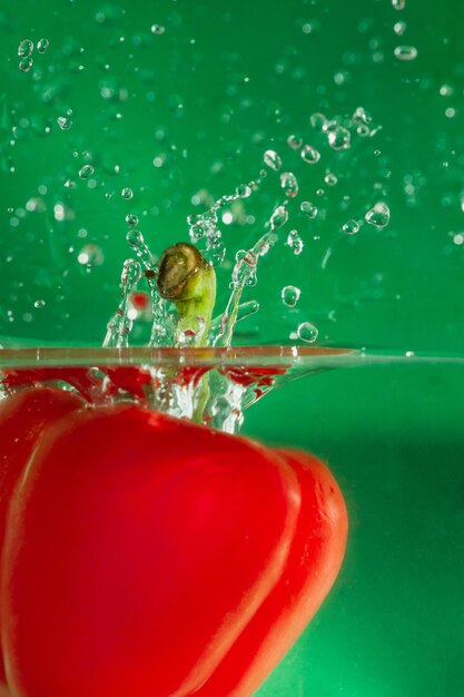 Close-up of insect on water