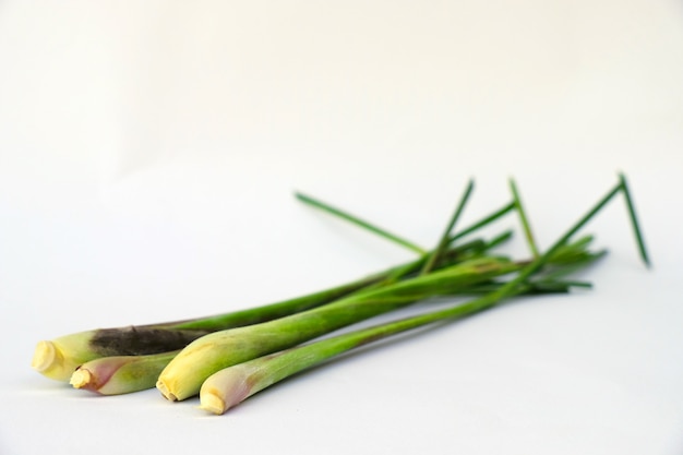 Close up isolated of fresh lemon grass herbal on white background 