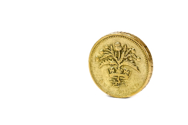 Close up isolated of one pound coin from united kingdom on white background 